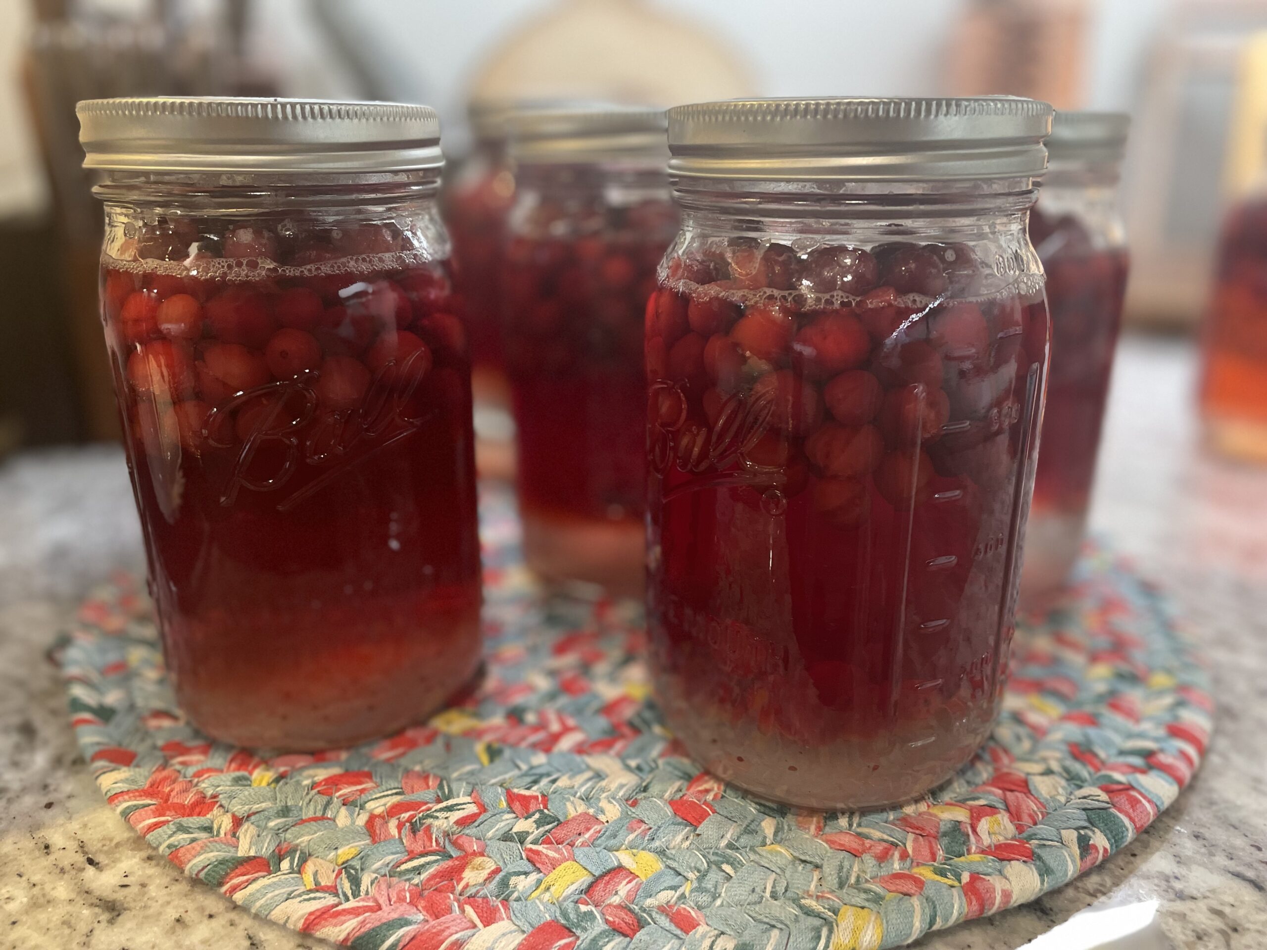 How to Make Homemade Cranberry Juice The Homemade Mama